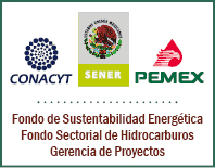 Gerencia de Proyectos / Fondeo de Sustentabilidad Energ&eacute;tica / Fondo Sectorial de Hidrocarburos